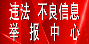 举报系统