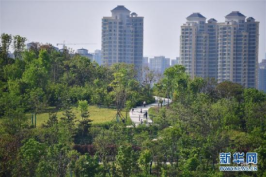 （环境）（1）西安：公园里 享春光