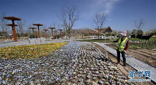 （社会）（1）北京世园会园区景观恢复工作启动