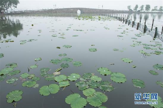 （社会）（1）杭州西湖：客流平稳 秩序井然